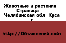  Животные и растения - Страница 22 . Челябинская обл.,Куса г.